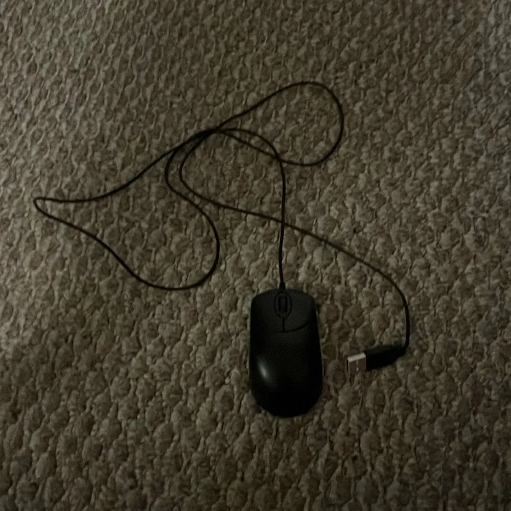 Computer Mouse